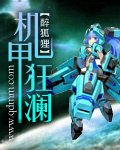 機甲狂瀾