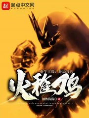 (精靈寶可夢同人)重生豐緣:開局我選火稚雞