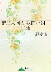 猎人同人 我的小姐生涯